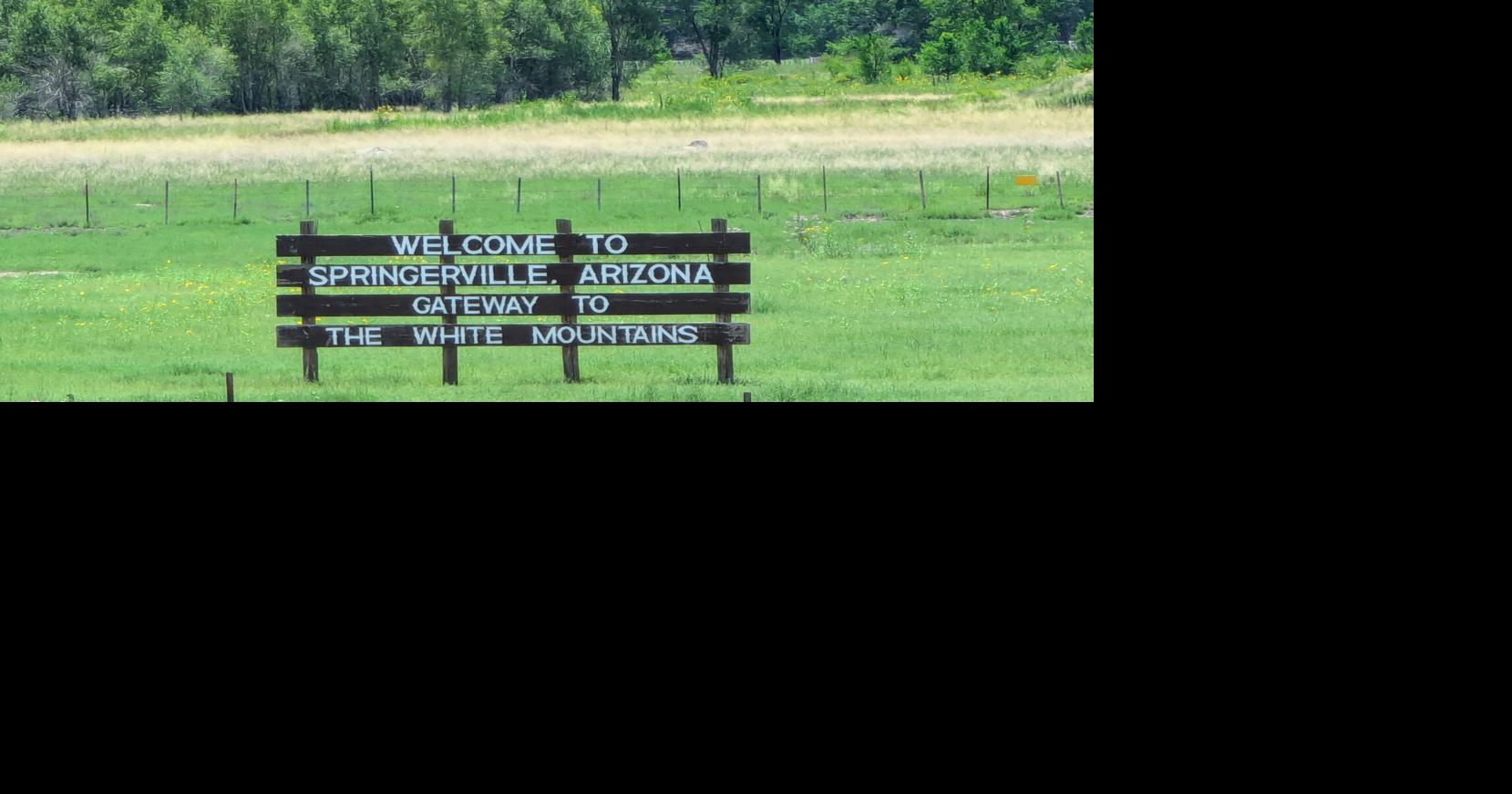 Springerville Council OKs water project, animal control ordinance