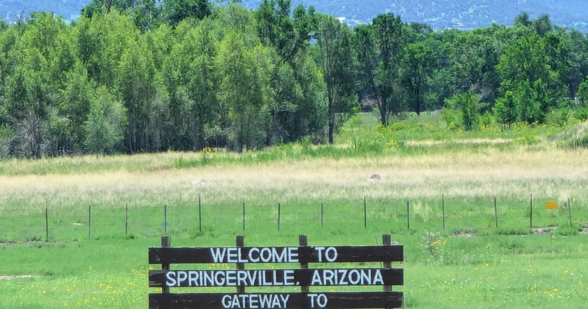 Springerville Animal Springerville Council OKs water project, animal control ordinance ...