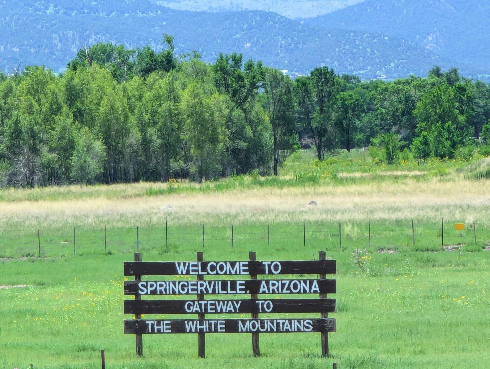 Springerville Council OKs water project, animal control ordinance