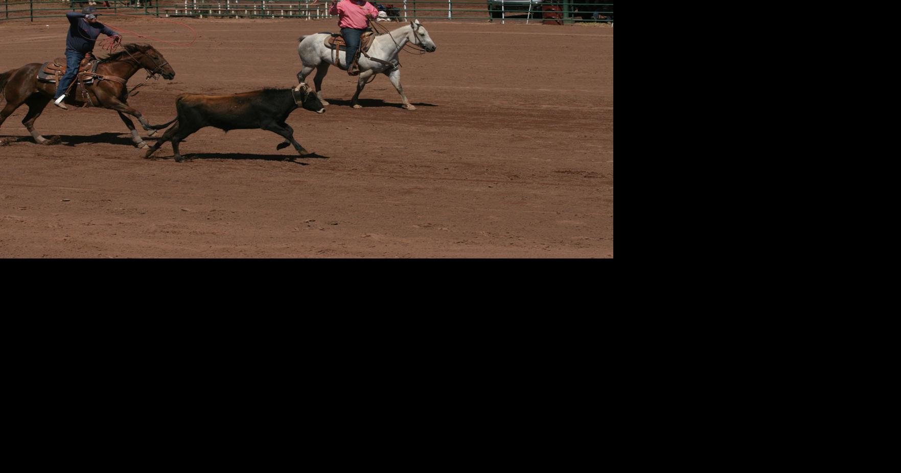 Team roping in Linden | Sports | wmicentral.com