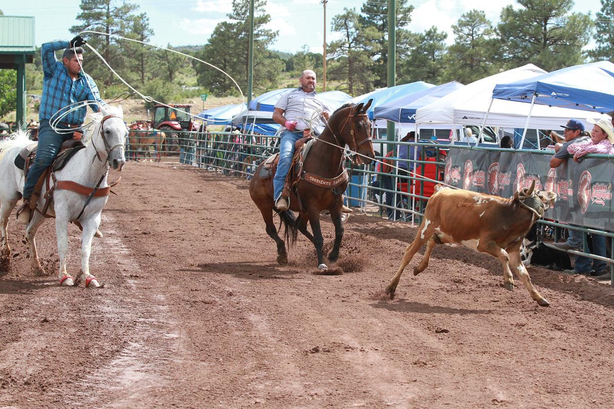 Ropers Pack Linden Valley Arena For Cowboy Christmas In July Local Sports Wmicentral Com