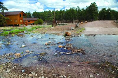 Slow Progress On Weeds At Rainbow Lake Arizona Wmicentral Com