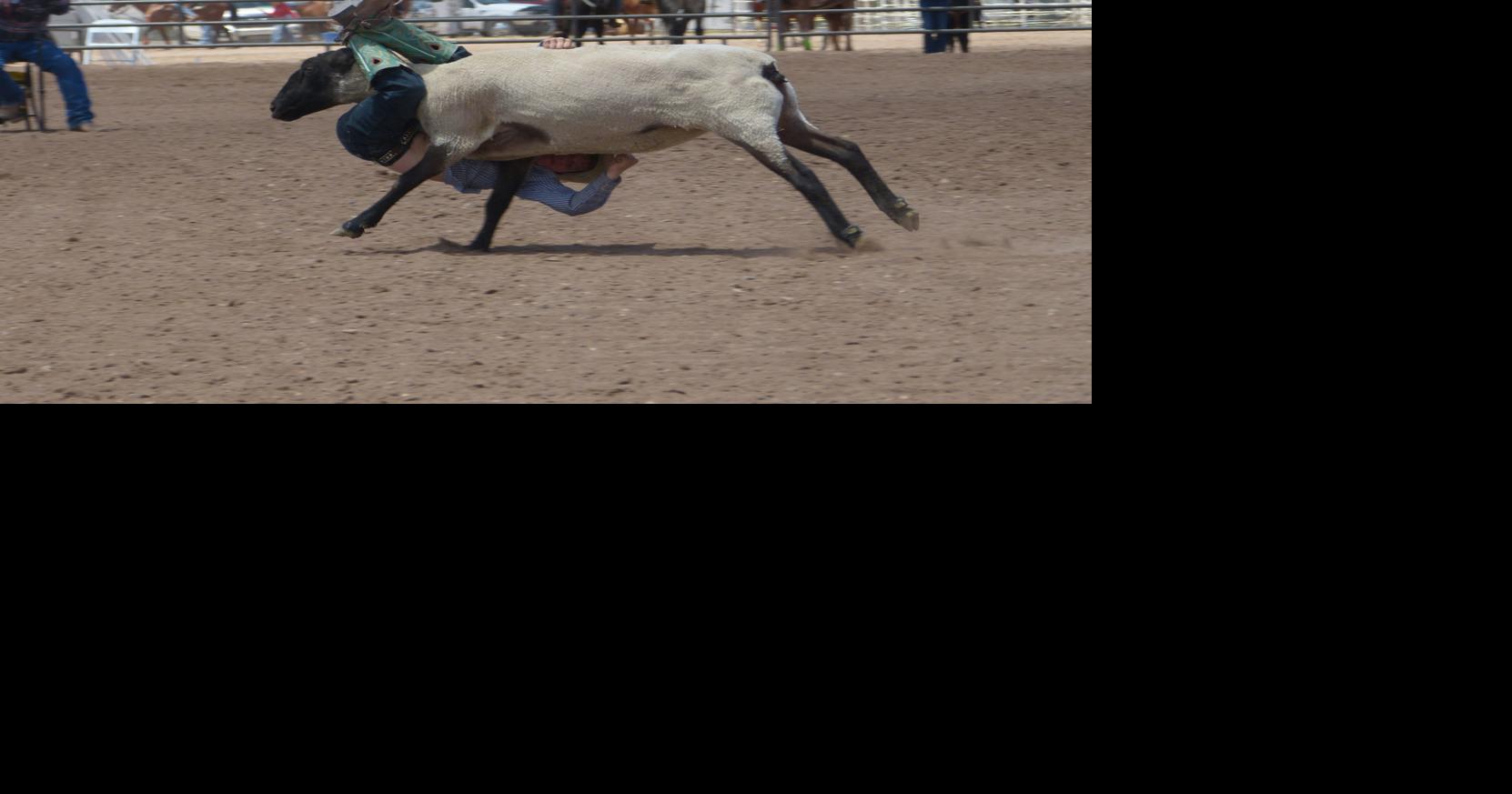 Round Valley Roundup Rodeo this weekend | Apache County | wmicentral.com