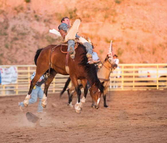 Taylor riders win bareback titles | Local Sports | wmicentral.com
