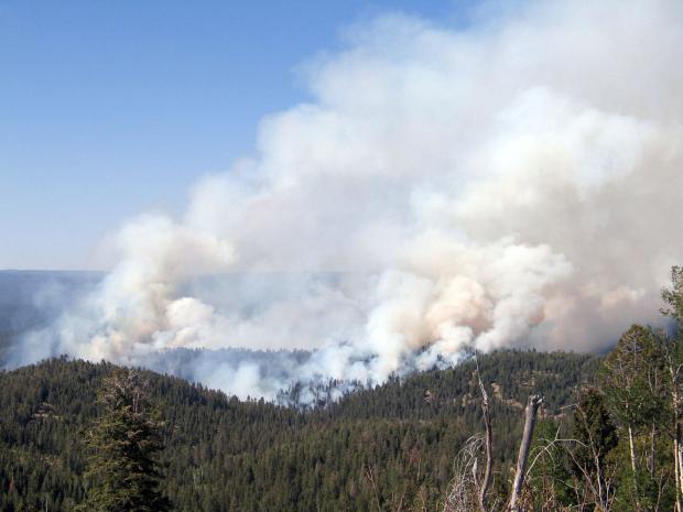 Greer placed on pre-evacuation notice due to Wallow Fire progression ...