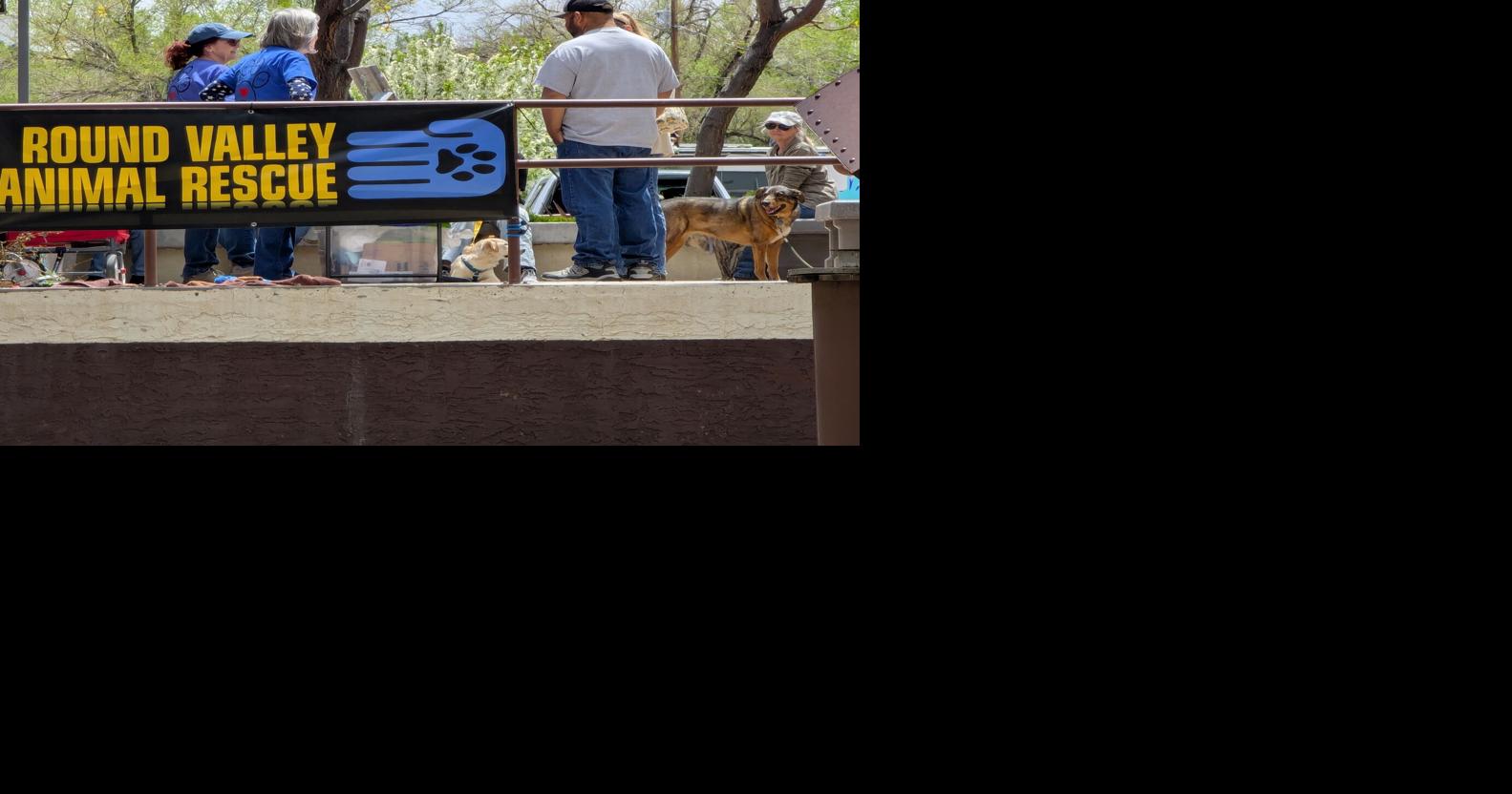 Color, creativity, community shine at Springerville’s first art walk ...