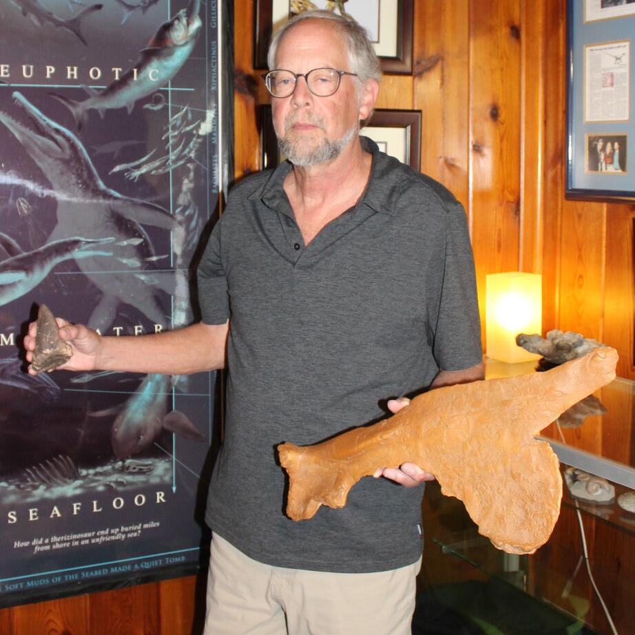 Dinosaurs lost for 90 million years return to light