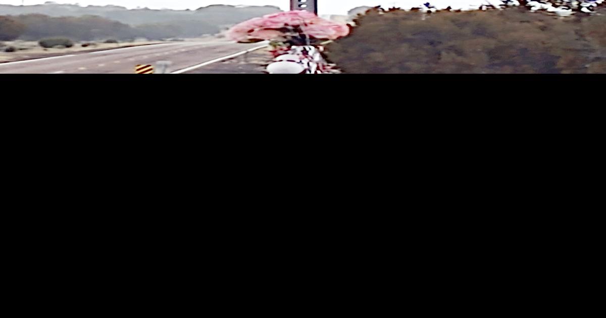 TLC sued in triple fatality crash Latest News