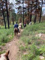 White Mountains offer plenty of opportunities for horse owners