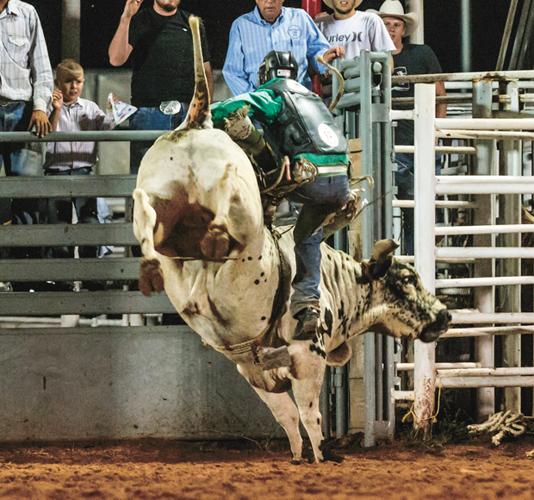 Snowflake Pioneer Days Rodeo Local Sports