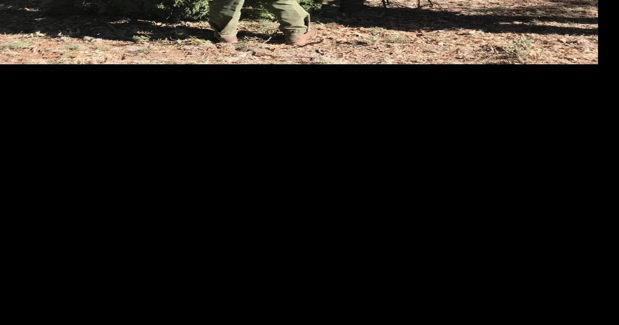 Fire Suppression Module set on ready