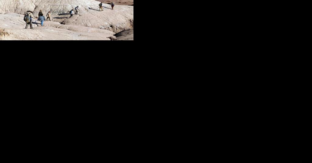 Go off the beaten path in the Petrified Forest - Vimarsana News