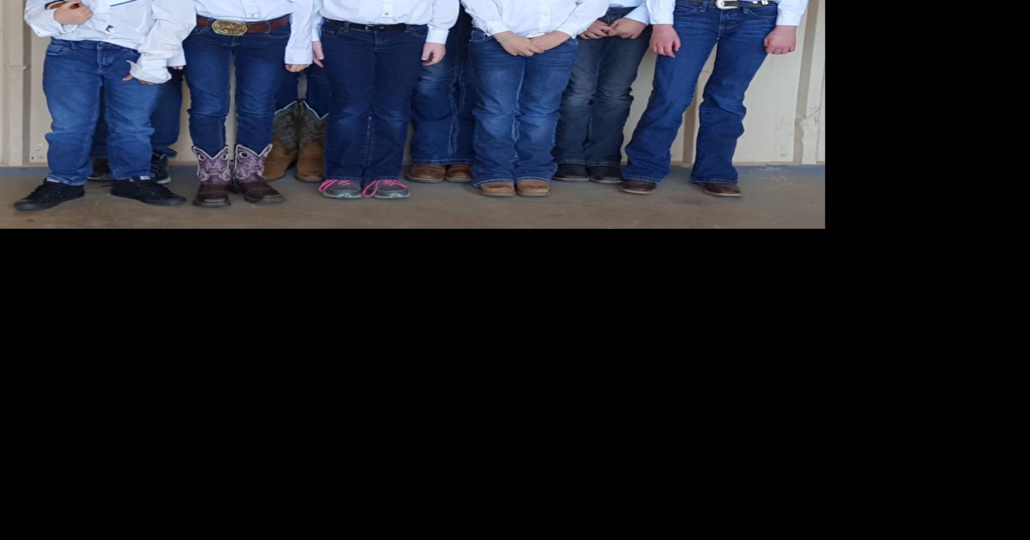 Blue Ridge club finds success at 4-H competition | Announcements ...