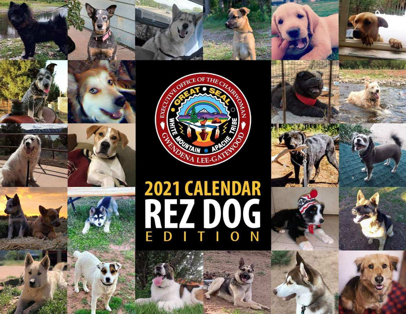 WMAT Rez Dog calendar promotes canine advocacy - Vimarsana News