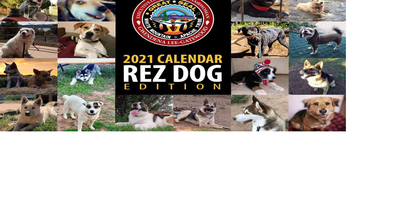 WMAT Rez Dog calendar promotes canine advocacy Latest News