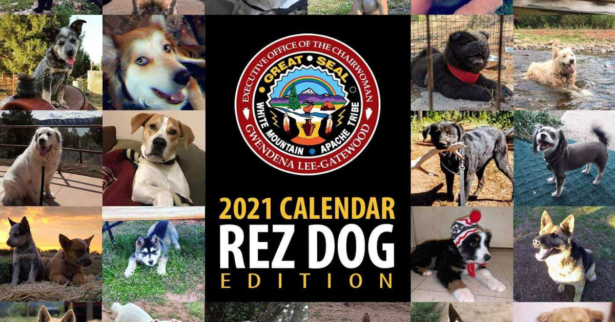 WMAT Rez Dog calendar promotes canine advocacy Latest News