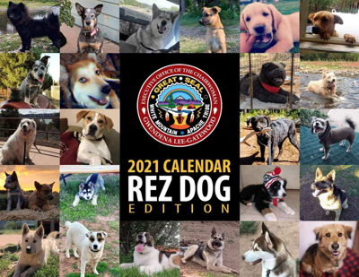 WMAT Rez Dog calendar promotes canine advocacy Latest News