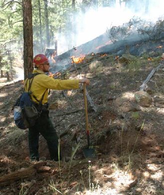 Fawn Fire fully contained; no damage reported | Show Low | wmicentral.com