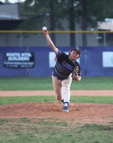 Bawden, 4 other Lobos earn All-3A East Baseball recognition | Sports ...