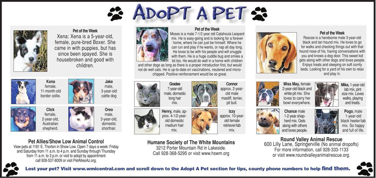 Adopt a Pet Adopt a Pet