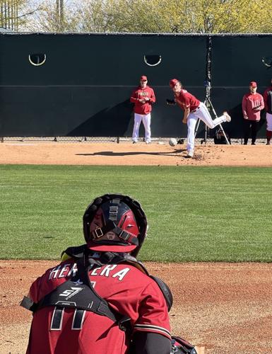 Hope springs anew: Diamondbacks pitchers and catchers report to spring  training, Sports