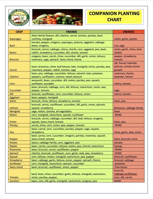 COMPANION PLANTING CHART