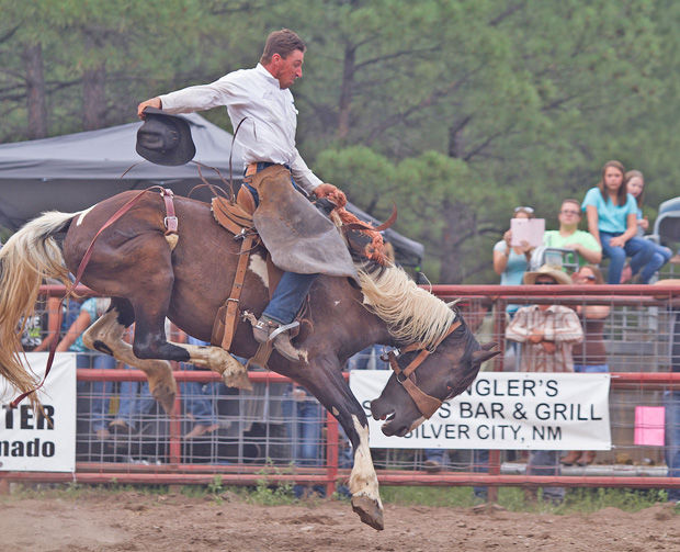 Luna Rodeo Orona, Hulseys top wild cow riders for yet another year