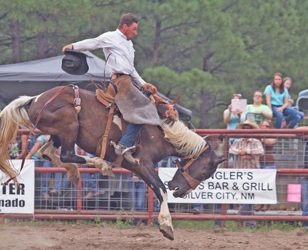 Luna Rodeo Orona, Hulseys top wild cow riders for yet another year ...