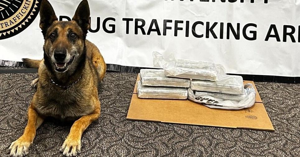 Two Calif. men stopped with 13 pounds of cocaine - Vimarsana News