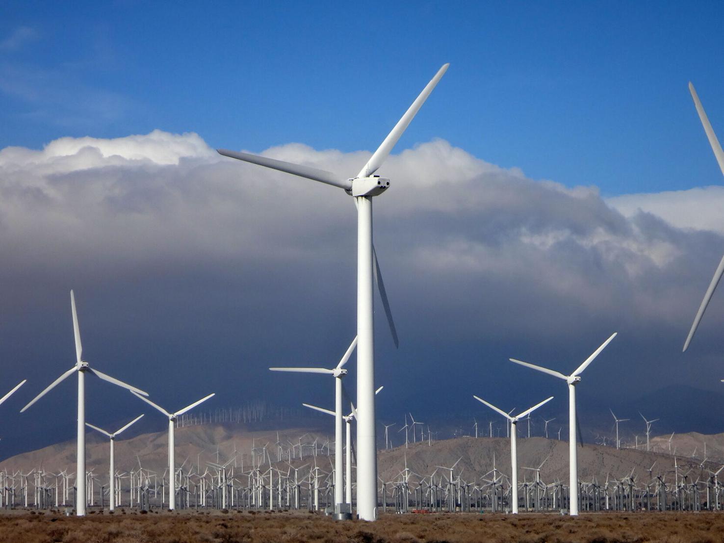 Navajo County residents protest plans for giant wind farm News