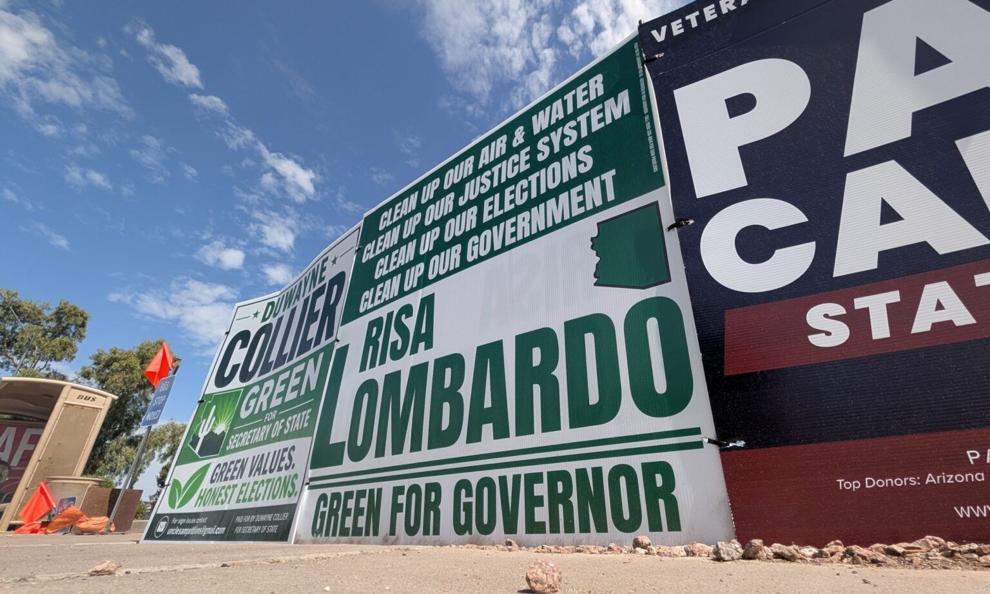 A mystery company and $1.1M: Inside Risa Lombardo’s ‘sham’ Green Party candidacy