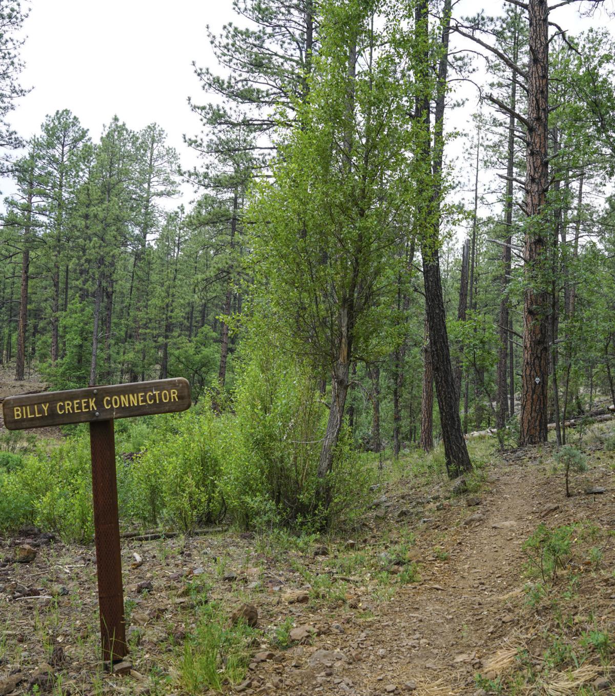 Blue Ridge, Billy Creek trail offer scenic getaway Recreation