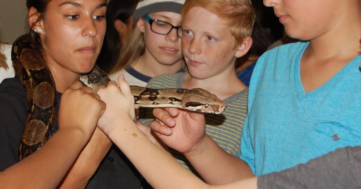 Snowflake Jr. High Snowflake Jr. High School STEAM winners give $35,000 to Herpetological ...