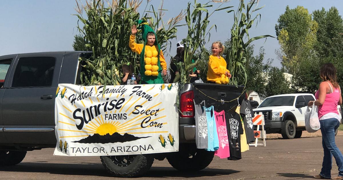 Taylor Sweet Corn Festival starts Saturday Local News