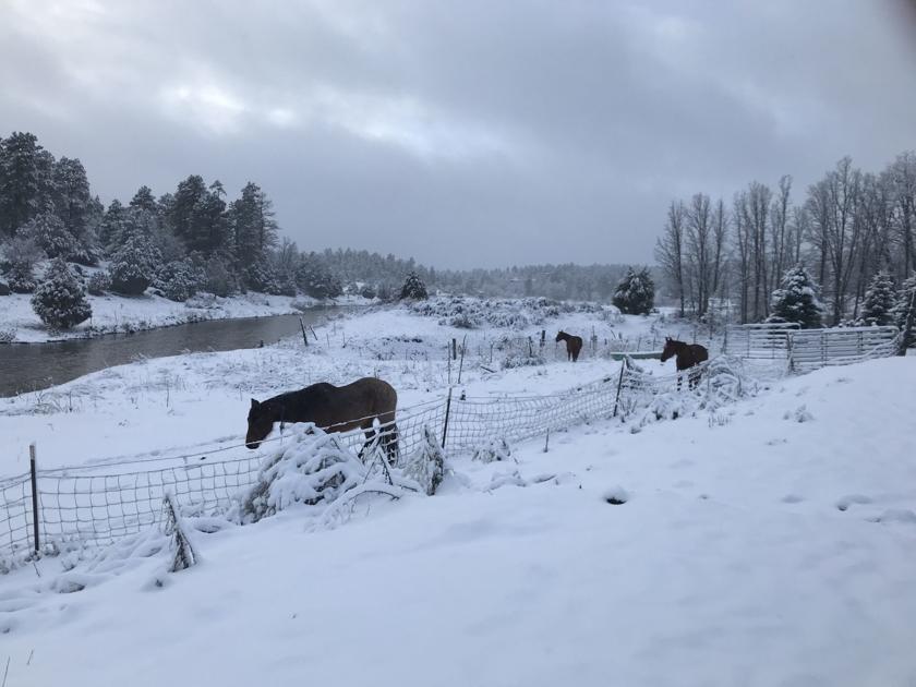 Spring snow Show Low