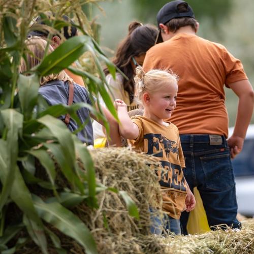 A colorful celebration of corn News