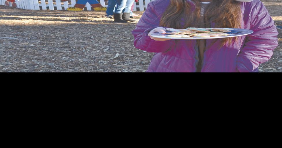 tree to have new home Local News