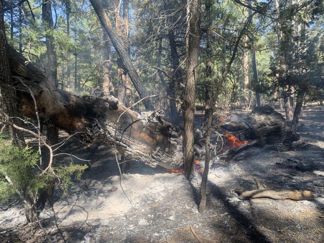 Wildfires begin appearing across Arizona