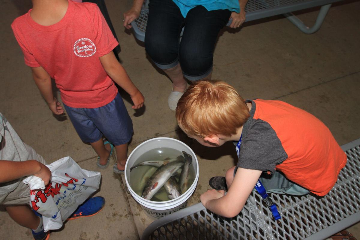 Rainbows Cat And Bass Take Firsts At Hatch Toyota Fishing Derby Go Fishin Wmicentral Com