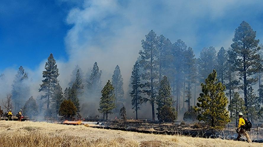 Lakeside Ranger District continues pile burning