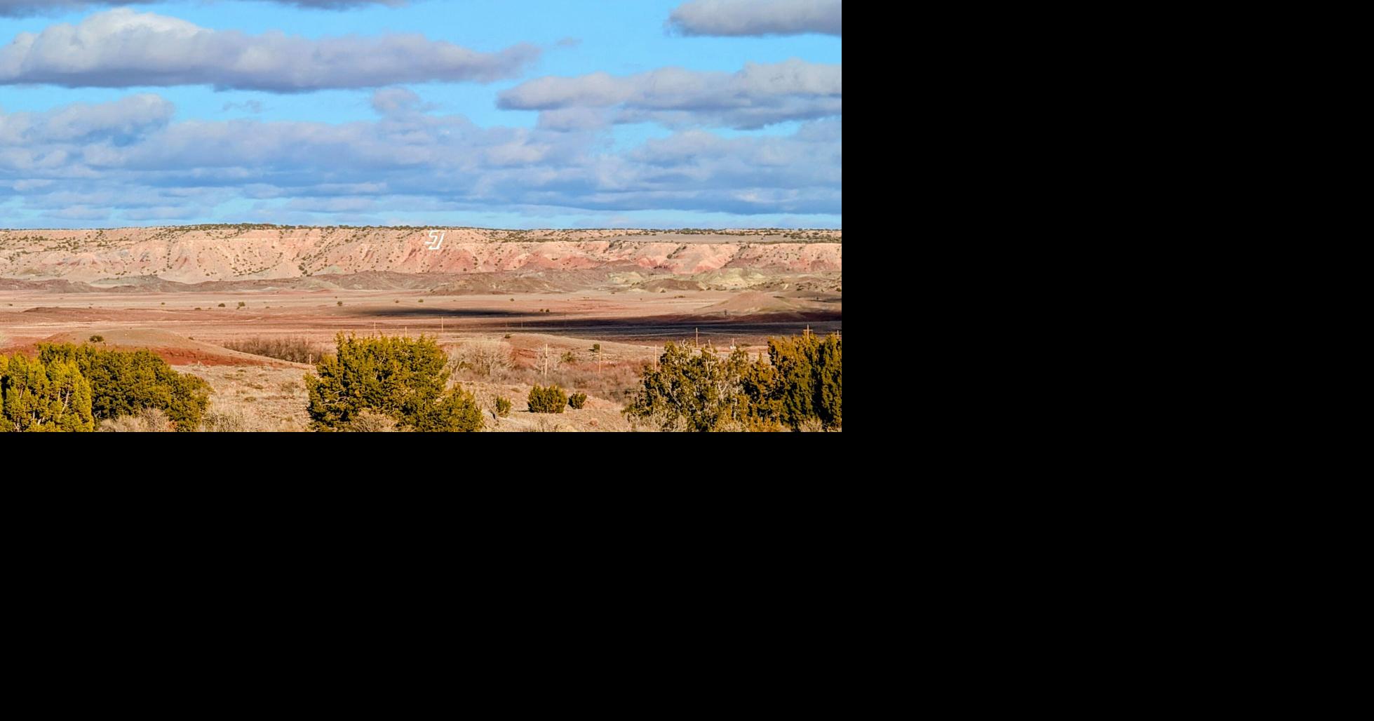 Solar and battery project proposed near St. Johns