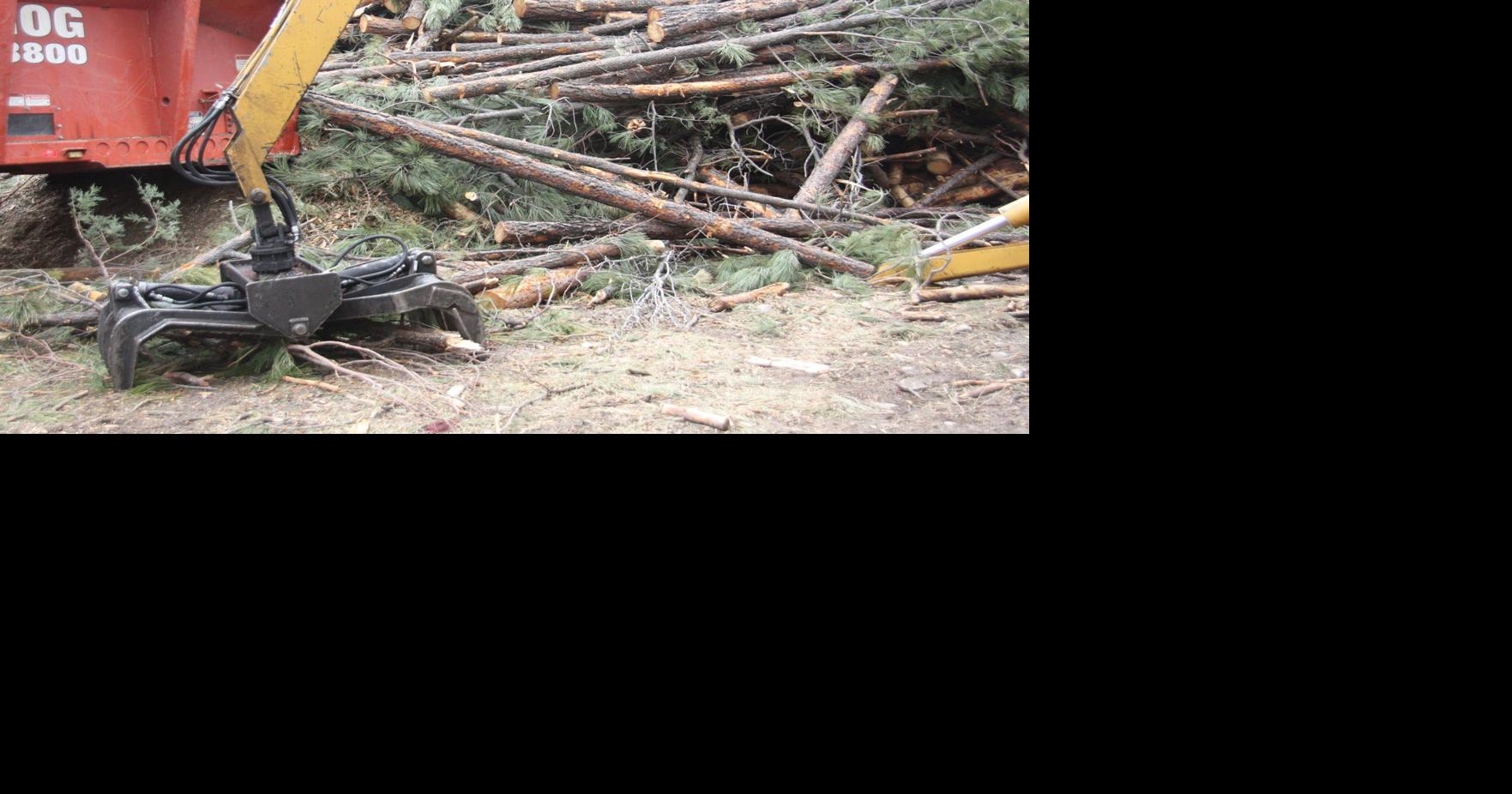 Loggers, counties issue warning to Forest Service | News | wmicentral.com