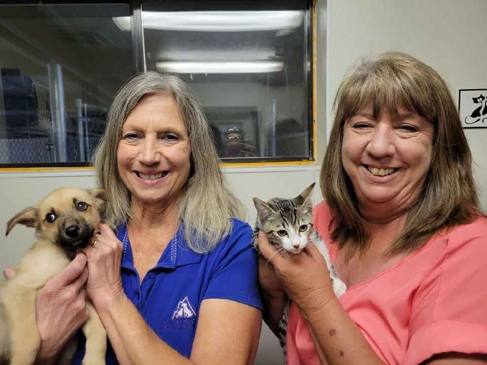 Does The Humane Society Pick Up Dogs