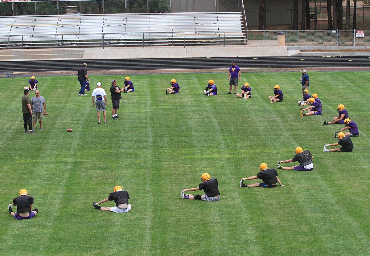 Aia Executive Board Endorses Guidelines For Return To Sport And