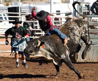 State bull riding title in reach of Show Low senior | Local Sports ...