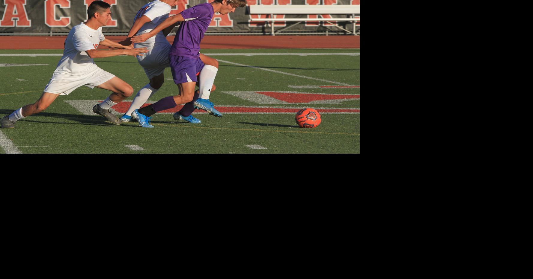 Blue Ridge soccer caps perfect season with state title | Local Sports ...