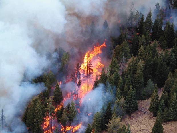 Arizona Natural Disasters Arizona Natural Disasters
