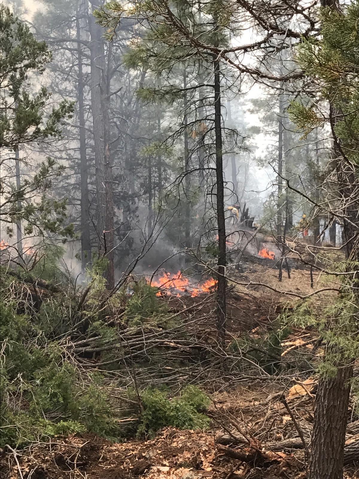 Firefighters battling wildfire near Show Low Lake Latest News