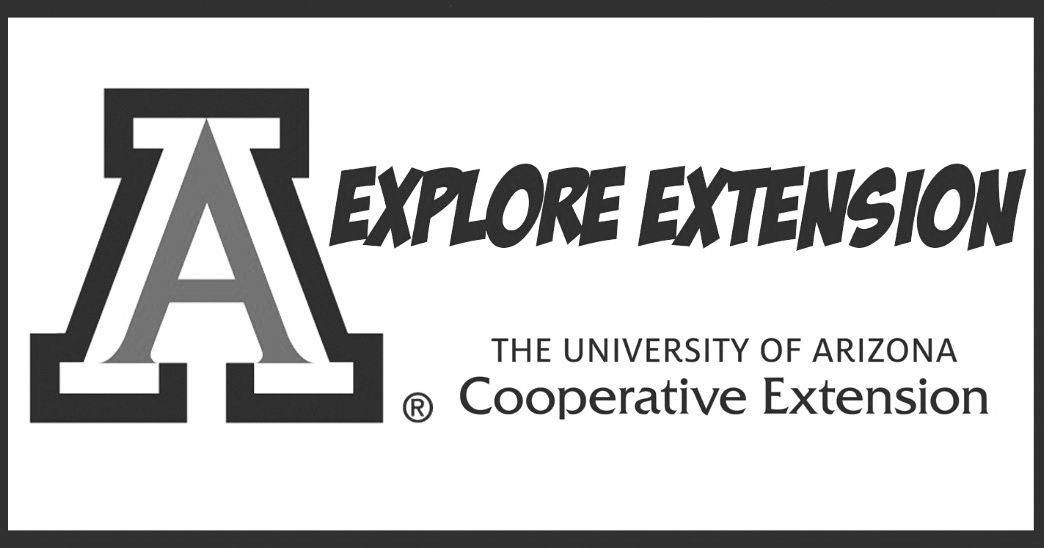 Online resources connects you with UofA programs | Education ...