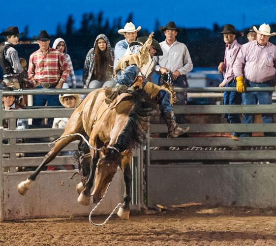 Snowflake Pioneer Days Rodeo Local Sports